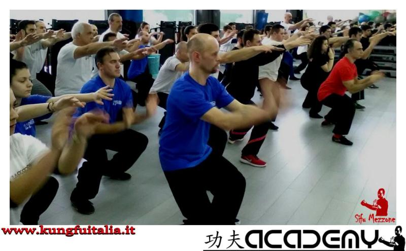 Stage di Wing Chun Kung Fu Frosinone Accademia di Wing Tjun Caserta Italia di Sifu Mezzone (28)